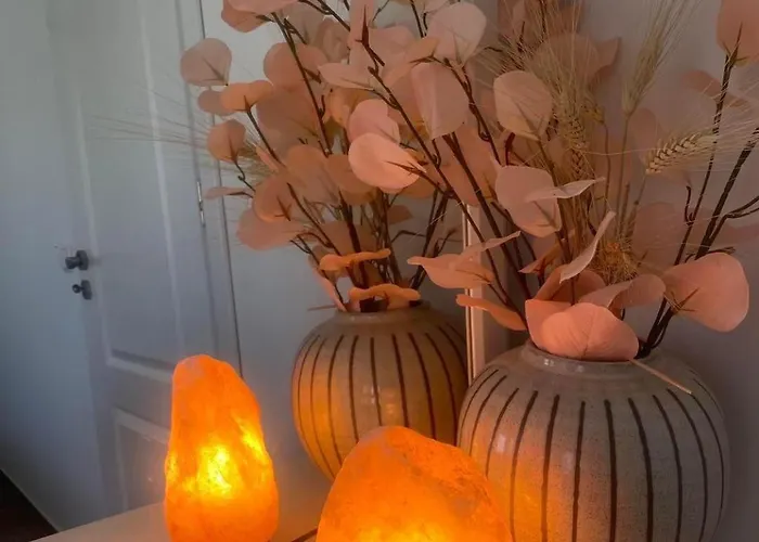 за гости лена זלאטוגרד